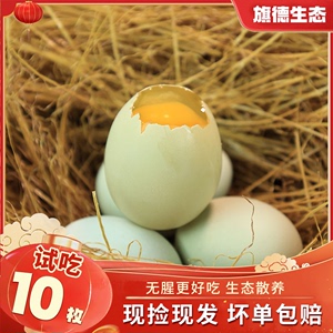 【现捡现发】新鲜鸡蛋绿壳土鸡蛋正宗10枚农家散养柴草绿皮土鸡蛋