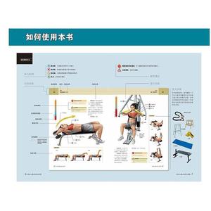 wh肌肉力量训练+拉伸训练健身图谱全2册塑身书籍教程私人教练教学图解男性女性拉伸训练指导大全硬派塑身无器械健美彩色增肌