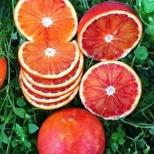赣南血橙新鲜水果江西赣州寻乌红橙正宗甜橙当季雪橙红心橙子10斤
