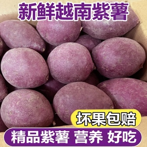 正宗越南小紫薯5斤紫心红薯粉糯香甜农家番薯地瓜小个圆珍珠紫薯