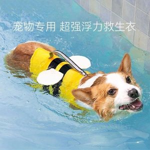 狗狗救生衣夏季宠物狗大型中型犬柯基柴犬浮力衣游泳衣服夏天泳衣