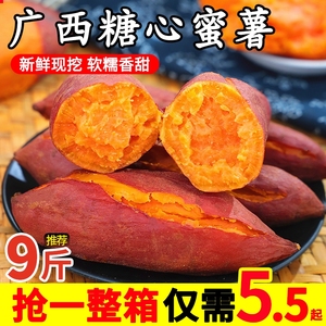 广西糖心蜜薯板栗红薯新鲜10斤沙地正宗农家烤地瓜烟小香番薯5