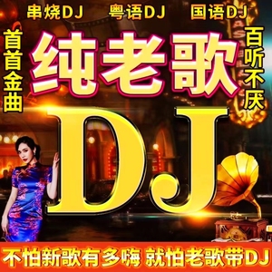 汽车载u盘经典老歌DJ怀旧国粤语重低音高音品质歌曲车用音乐u优盘