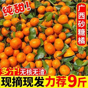 新鲜砂糖橘10斤广西金秋超甜橘子当季水果无籽小沙糖桔子整箱包邮