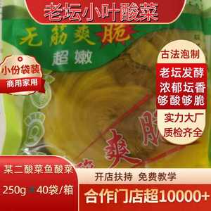 广东脆嫩鱼酸菜品坛香无筋袋装腌家用云南小叶颗芥潮泡菜商用餐饮