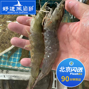 北京闪送 鲜活海白虾 大白虾 口感堪比基围虾 大虾对虾新鲜海鲜