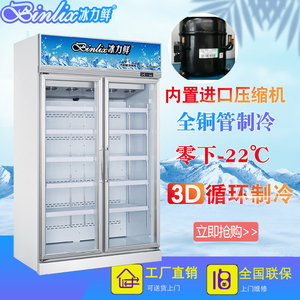 冰力鲜两门低温冷柜冰柜立式冰皮月饼水饺包子冻品柜除雾玻璃