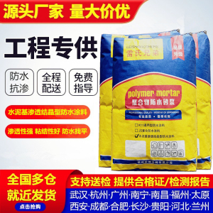 聚合物防水砂浆内墙大坝水库背水面涂料水泥基渗透结晶型防水材料