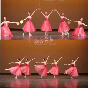 少儿芭蕾舞裙儿童红色吊带长款纱裙女童公主比赛考级天鹅湖演出服