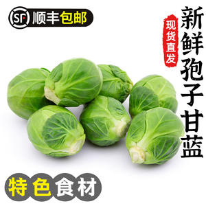 孢子甘蓝新鲜食用西餐沙拉蔬菜食材迷你小宝菜小卷心菜抱子甘蓝