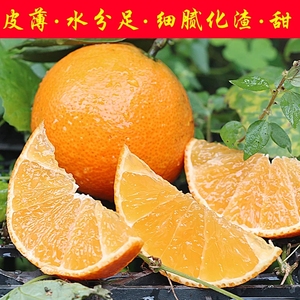 果希 四川金堂三溪脐橙5斤 橙子新鲜生鲜水果橙橘子多汁当季包邮