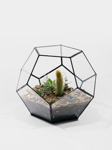 小美庭院几何十二面体玻璃花房透明创意绿植多肉花盆苔藓微景观
