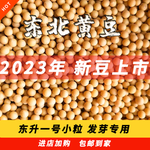 东北大豆发芽打豆浆专用豆腐农家自种2023新黄豆东升一号5斤小粒