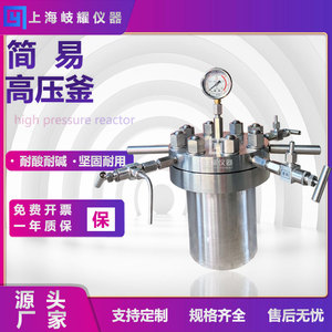 不锈钢电加热高温恒温氢化罐高压反应釜实验室精密简易反应器搅拌
