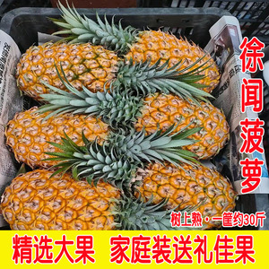 广东徐闻菠萝送礼品装整箱约30斤精品大菠萝糖心香甜无渣