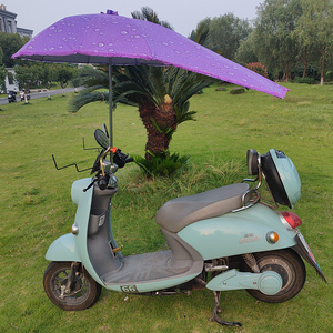 电动电瓶车雨棚蓬新款可拆安全防晒挡雨遮阳伞摩托车加厚遮阳雨棚