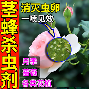 茎蜂杀虫剂玫瑰花野蔷薇月季桃叶蜂松叶垂头蚜虫啃叶子速杀专用药