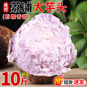 广西荔浦新鲜大芋头10斤整箱农家紫藤毛芋头香芋槟榔芋艿粉蔬菜5