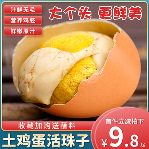 新鲜13天土鸡蛋活珠子鸡胚蛋40枚装即食熟钢化蛋无毛蛋凤凰蛋包邮