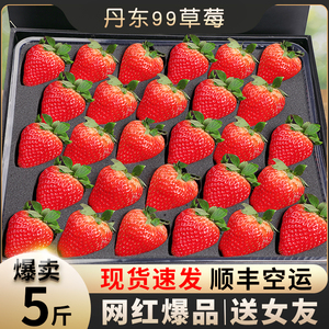 丹东99草莓5斤应当季新鲜水果红颜大果牛奶奶油九九草莓整箱包邮