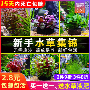 水草浮草 淘宝拼多多热销水草浮草货源拿货 阿里巴巴货源