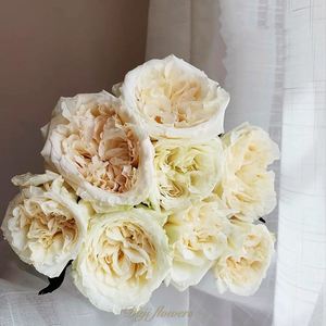 荷兰种苗白色荔枝玫瑰，全店鲜花任意2把顺丰航空包邮鲜花鲜切花