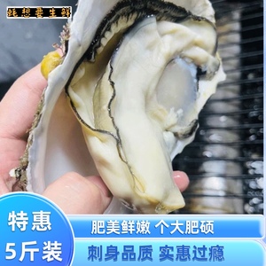 乳山特大生蚝刺身 5斤威海新鲜活牡蛎带壳海蛎子贝类整箱免洗烧烤