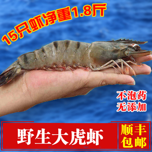 【虎虾一盒】野生大斑节虾 新鲜海鲜 海捕大虾鲜活草虾黑虎虾鲜虾