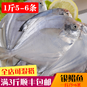 野生白鲳鱼平鱼银鲳鱼镜鱼东海小鲳鱼新鲜海鲜鲜活冷冻水产海鱼