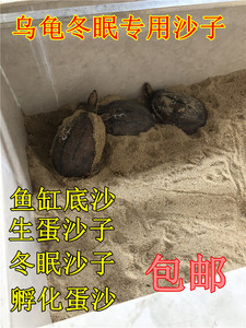 爆款乌龟产蛋沙下蛋沙子养乌龟沙冬眠细沙龟蛋孵化专用细沙鱼缸沙