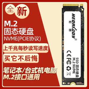 宏想m.2固态硬盘SSD NVME 512G笔记本台式机PCI-E固态盘120g 240G