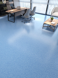 办公室地毯加厚商用pvc塑料地毯户外地面铺垫防水地垫大面积全铺