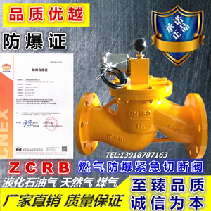 ZCRB 天然气液化气煤气自动紧急防爆快速电磁切断阀DN25 50 80 65