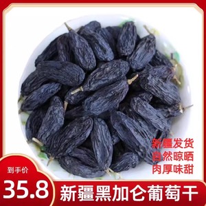 新疆黑加仑葡萄干特产大颗粒无籽500g非免洗干果独立大包零食包邮