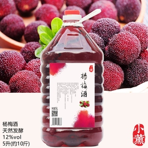 小薰杨梅子酒5升10斤女士低度定制厂家自酿造桶装甜花果味发酵酒