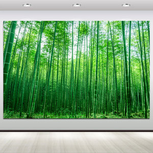 绿色竹子竹林风景壁画客厅卧室自然风光装饰画书房护眼自粘贴画