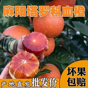 湖南塔罗科玫瑰血橙新鲜水果孕妇榨汁手剥麻阳红橙子整箱10斤包邮