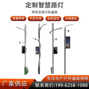 智慧路灯智慧灯杆智能灯杆智慧城市充电桩含平台软件6米7米8米
