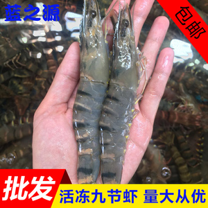 新鲜活冻九节虾黑虎虾野生大草虾老虎虾斑节虾海虾海鲜水产500g