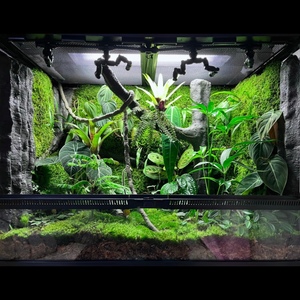一物一拍成品雨林缸自动喷淋苔藓微景观溪流爬宠蛙蟹鱼生态缸定制