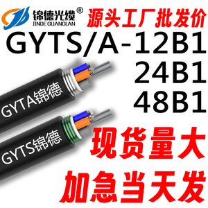 GYTS-12B1.3室外铠装光缆gyta-24b1/36B1/48B1/72B1/96B1芯光纤线
