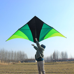 大草原风筝王侉子品牌风筝544伞布碳杆微风大型成人高档三角新款