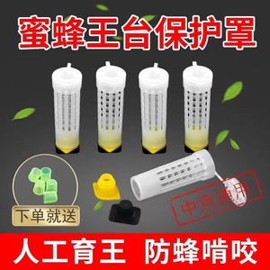 王台保护罩育王工具蜂王笼王台基罩杯框防咬蜂王台罩中意蜂通用