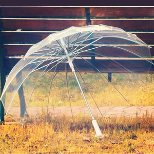 16骨透明雨伞长柄伞创意雨伞自动伞明星男女雨伞透明伞广告伞包邮