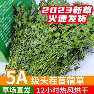 2023头茬紫花苜蓿草干草兔子粮草龙猫荷兰猪饲料烘烤牧草1000克