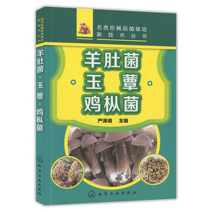 名贵珍稀菇菌栽培新技术丛书 羊肚菌 玉蕈 鸡枞菌 食用菌栽培技术书羊肚菌种植农业书籍技术现代科学养殖菌种工厂化菌类栽培知识