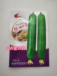 南京绿领种业 绿油2号 油亮丝瓜种籽 高产抗病绿油二号短丝瓜种子