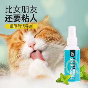 猫薄荷喷雾猫咪快乐水猫草诱导剂幼猫零食逗猫酒吸引安抚猫猫用品