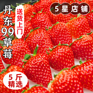 辽宁丹东99草莓红颜大草莓新鲜水果当季白奶油九九礼盒整箱包邮