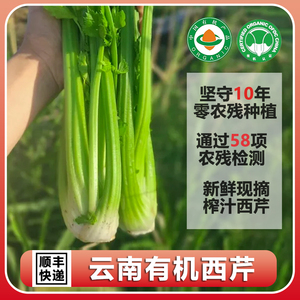 云南高原有机西芹4.5斤新鲜现摘无农药榨汁西洋芹沙拉炒菜带叶发